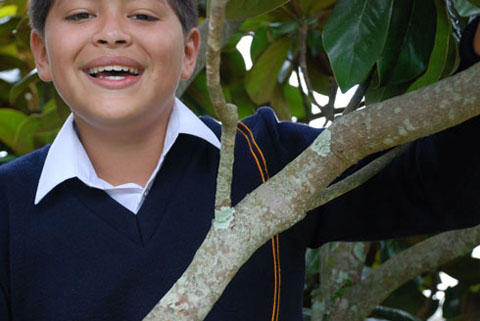 V Neck School Jumper