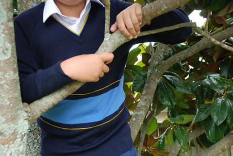 School Jumper with large horizonal band and supporting stripes