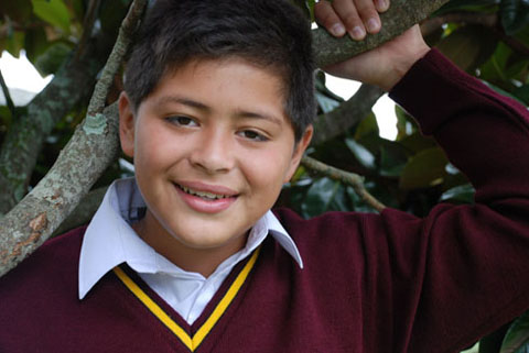 V Neck School Jumper