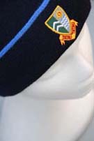 Beanie with single stripe and embroidered logo